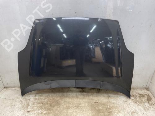 Capot Capot FIAT GRANDE PUNTO (199_) 1.3 D Multijet (84 hp) 35991734 35991734