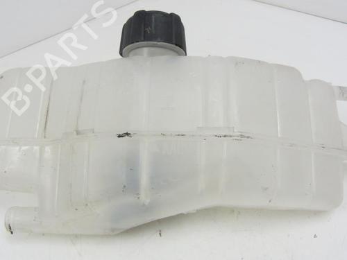 expansion-tank-renault-clio-iii-br01-cr01-2005-2006-2007-2008-2009-2010-2011-2012-2013-2014-40564226 main image