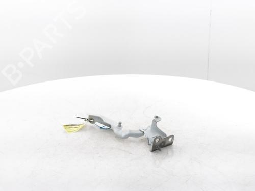 Hinge/Door check strap RENAULT TRAFIC III Van (FG_) 2.0 dCi 120 (FGMN) | BP29426848C146 