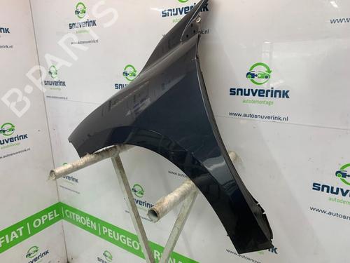 Right front fenders RENAULT MEGANE III Grandtour (KZ0/1) 1.5 dCi (KZ09, KZ0D, KZ1G, KZ29, KZ14, KZ1W, KZ10, KZ1F,... | BP26665661C42 