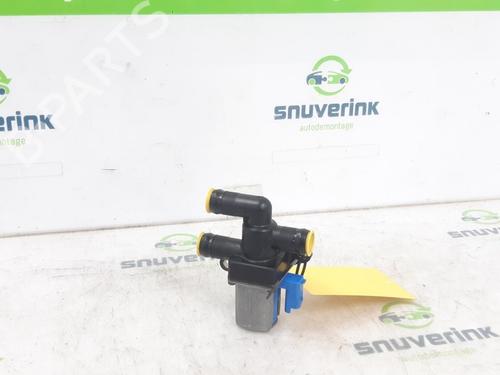 Elektronisk modul RENAULT KANGOO III Box Body/MPV E-Tech Electric (FJJA) (122 hp) 24159894