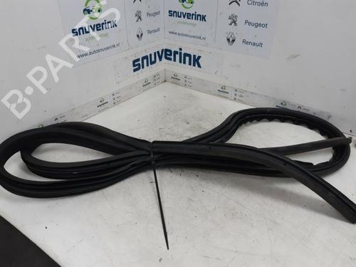 Used Rubber door seal RENAULT SCÉNIC II (JM0/1_) 1.6 (JM0C, JM0J, JM1B) (113 hp) 13191751