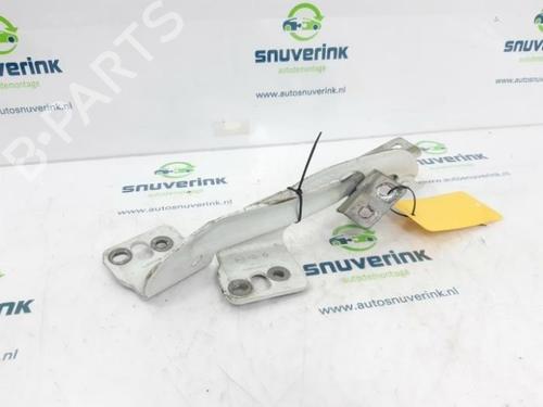 hingedoor-check-strap-renault-kangoo-express-fw01_-2008-40570083 main image