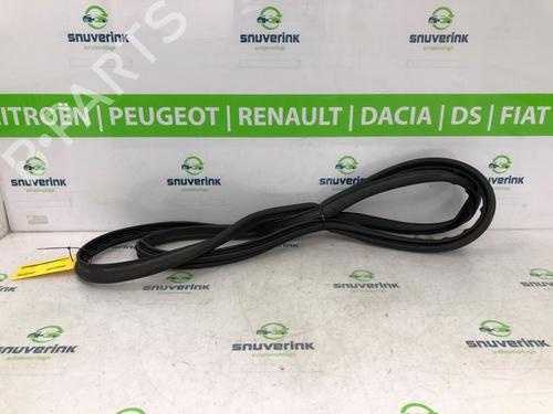 Rubber door seal RENAULT ARKANA I (LCM_, LDN_) 1.3 TCe 160 (LDN1) | BP20158556C142 