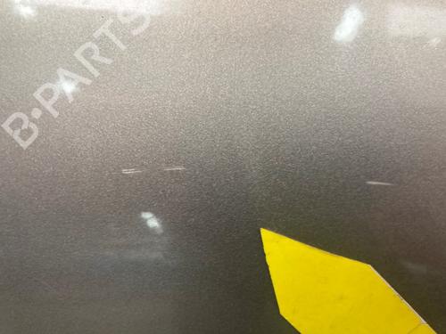 Left rear door RENAULT SCÉNIC III (JZ0/1_) 1.4 16V (JZ0F, JZ1V) | BP22391118C4 