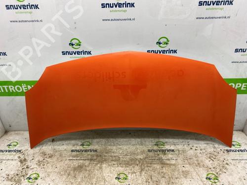 Used Hood RENAULT KANGOO Express (FW0/1_) 1.5 dCi 70 (FW0A, KW0V) (68 hp) 17122694