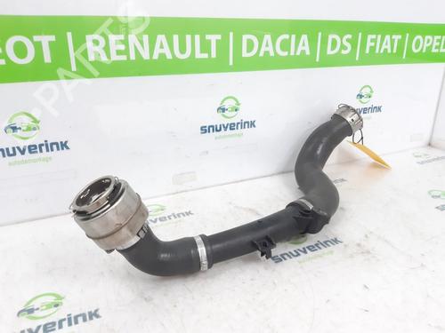 Other RENAULT CAPTUR II (HF_) TCe 140 (HFN0) | BP21194210O1