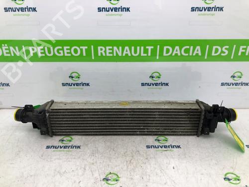 Intercooler Intercooler 10804876 10804876