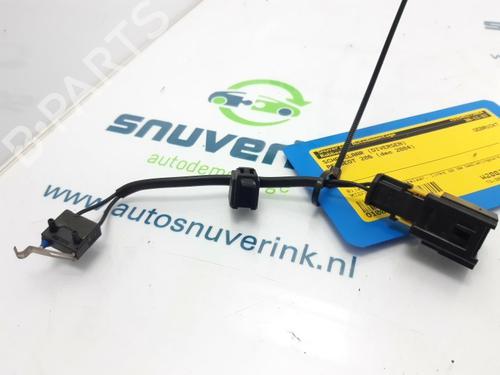 Used Switch PEUGEOT 206 CC (2D) 1.6 16V (2DNFUF, 2DNFUR) (109 hp) 10803801