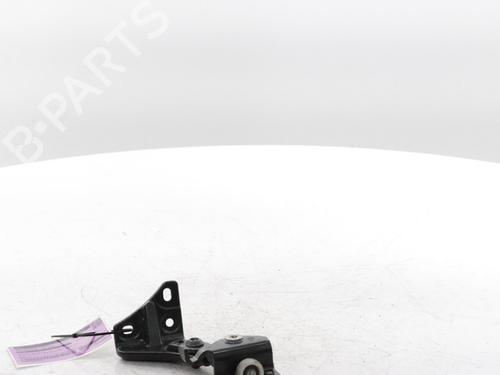 Hinge/Door check strap FIAT DUCATO Van (250_) 120 Multijet 2,2 D | BP29426647C146 