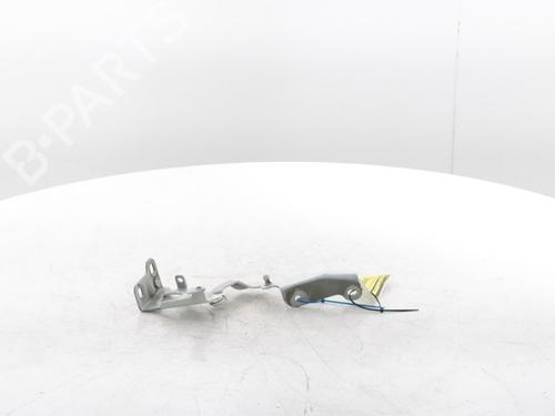 Hinge/Door check strap RENAULT TRAFIC III Van (FG_) 2.0 dCi 120 (FGMN) | BP29426848C146 