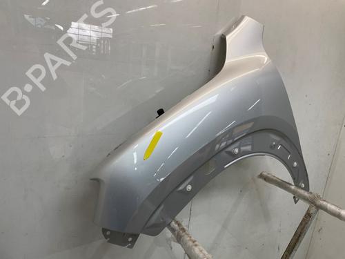 Left front fenders DACIA SPRING EV (B6M1) | BP30186781C41