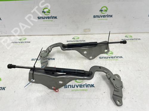 Hinge/Door check strap RENAULT SCÉNIC IV (J9_) 1.3 TCe 115 (J9N9) | BP26238493C146 