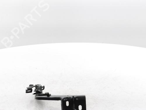 Hinge/Door check strap FIAT DUCATO Van (250_) 120 Multijet 2,2 D | BP29426648C146 