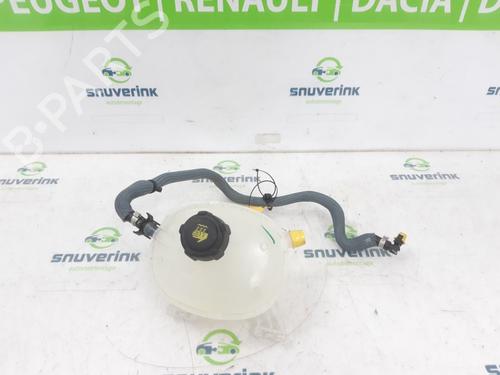 Used Expansion tank RENAULT AUSTRAL E-TECH 200 Hybrid (HGM2) (199 hp) 24841178