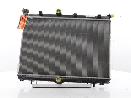 water-radiator-ds-ds-3-ds-3-crossback-ur_-uc_-uj_-2018-40265980 main image