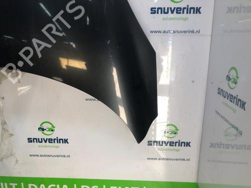 Hood RENAULT SCÉNIC III (JZ0/1_) 1.5 dCi | BP24841344C1 