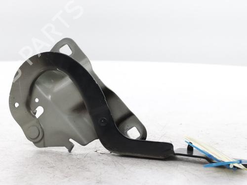 Dørhængsel/Dørbegrænser Dørhængsel/Dørbegrænser RENAULT ZOE (BFM_) ZOE (88 hp) 33874506 33874506