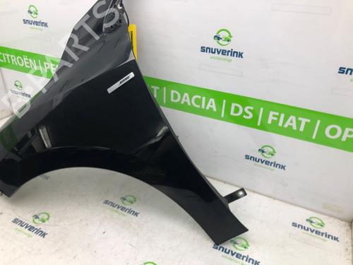 Left front fenders RENAULT MEGANE III Grandtour (KZ0/1) 1.5 dCi (KZ09, KZ0D, KZ1G, KZ29, KZ14, KZ1W, KZ10, KZ1F,... | BP22218287C41 
