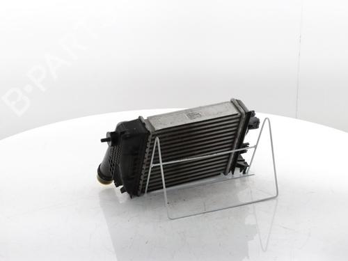Intercooler RENAULT CLIO V (B7_) 1.0 TCe 90 (B7MT) | BP29426638M30 