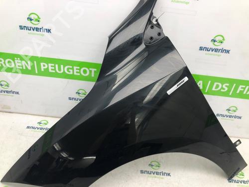 Left front fenders RENAULT MEGANE III Grandtour (KZ0/1) 1.5 dCi (KZ09, KZ0D, KZ1G, KZ29, KZ14, KZ1W, KZ10, KZ1F,... | BP22218287C41 