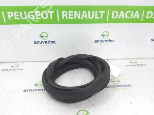 Used Rubber door seal RENAULT CLIO V (B7_) 1.0 TCe 90 (B7MT) (91 hp) 25205317
