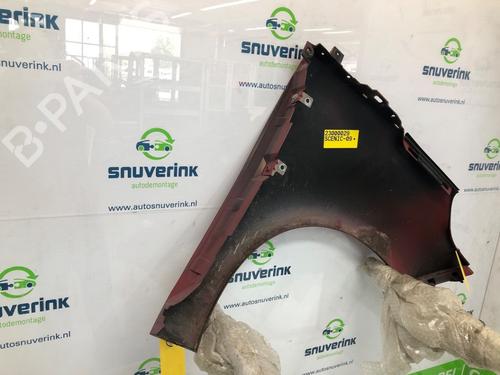 Left front fenders RENAULT SCÉNIC III (JZ0/1_) 1.4 16V (JZ0F, JZ1V) | BP18950575C41 