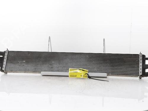Used Water radiator Water radiator RENAULT MASTER III Van (FV) 2.3 dCi 165 FWD (FV0P, FV0U, FV11, FV12, FV1E) (163 hp) 31960563 31960563