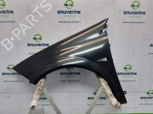 Used Left front fenders RENAULT MEGANE II Estate (KM0/1_) 1.9 dCi (131 hp) 11010012
