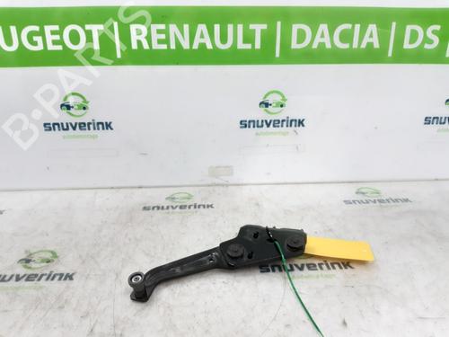 Used Hinge/Door check strap Hinge/Door check strap RENAULT KANGOO III Box Body/MPV 1.5 Blue dCi 75 (FJAA) (75 hp) 22218942 22218942