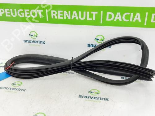 Used Rubber door seal PEUGEOT 207 (WA_, WC_) 1.6 16V Turbo (156 hp) 13194004