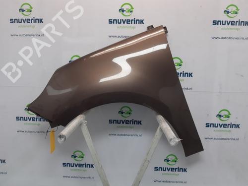 Used Left front fenders RENAULT SCÉNIC III (JZ0/1_) 2.0 16V (JZ0G, JZ0P, JZ1E, JZ1P) (140 hp) 13757563