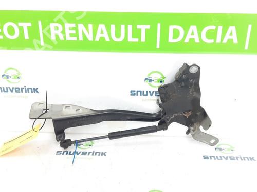 Used Hinge/Door check strap RENAULT GRAND SCÉNIC III (JZ0/1_) 1.5 dCi (JZ09, JZ0D, JZ10, JZ14, JZ1G, JZ29, JZ2C) (110 hp) 23122435