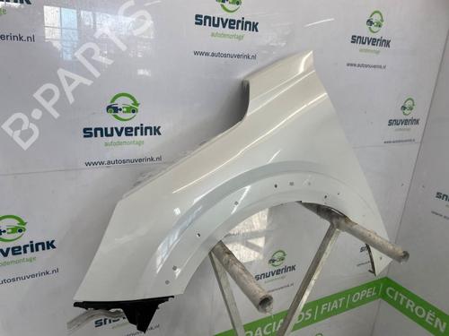 Left front fenders PEUGEOT 208 II (UB_, UP_, UW_, UJ_) e-208 | BP26202565C41 