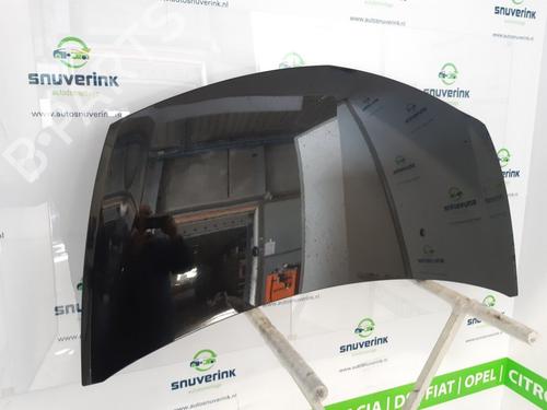 Hood RENAULT CLIO III (BR0/1, CR0/1) 1.4 16V | BP10802907C1 