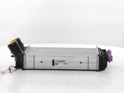 Intercooler Intercooler FIAT GRANDE PANDA (328) 1.2 Mild Hybrid (325) (110 hp) 33845939 33845939