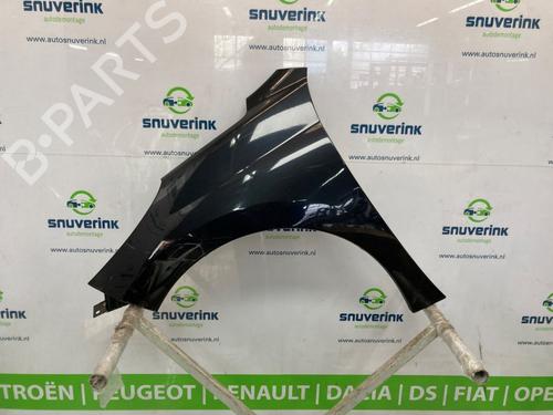 Used Left front fenders PEUGEOT 207 (WA_, WC_) 1.6 16V VTi (120 hp) 26489087