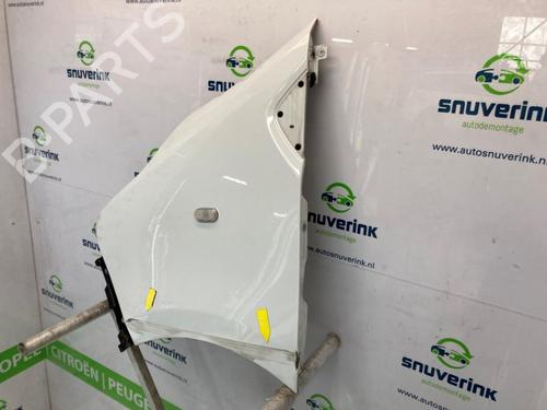 Left front fenders RENAULT TRAFIC III Van (FG_) 1.6 dCi 125 (FGMH) | BP27093375C41 