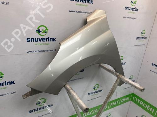 Left front fenders PEUGEOT 207 (WA_, WC_) 1.6 16V VTi | BP27092951C41 