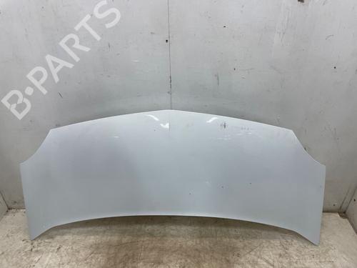 hood-renault-kangoo-express-fw01_-2008-34564384 main image