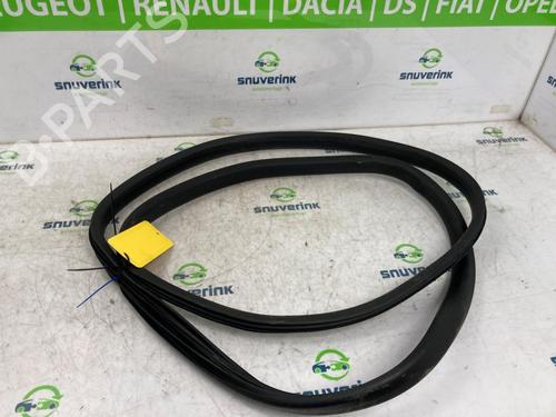 Gummiliste Gummiliste RENAULT CLIO IV (BH_) 1.5 dCi 90 (90 hp) 21599900 21599900