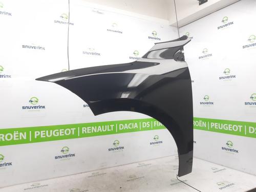 Left front fenders RENAULT MEGANE III Grandtour (KZ0/1) 1.5 dCi (KZ09, KZ0D, KZ1G, KZ29, KZ14, KZ1W, KZ10, KZ1F,... | BP21775272C41 