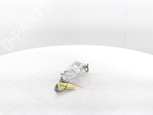 Hinge/Door check strap RENAULT TRAFIC III Van (FG_) 2.0 dCi 120 (FGMN) | BP29426849C146 