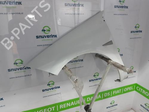 Left front fenders RENAULT MEGANE II Estate (KM0/1_) 1.5 dCi (KM1F) | BP11010013C41 