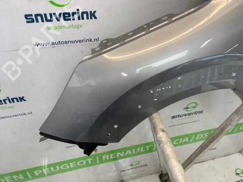 Left front fenders PEUGEOT 208 II (UB_, UP_, UW_, UJ_) e-208 | BP25828990C41 