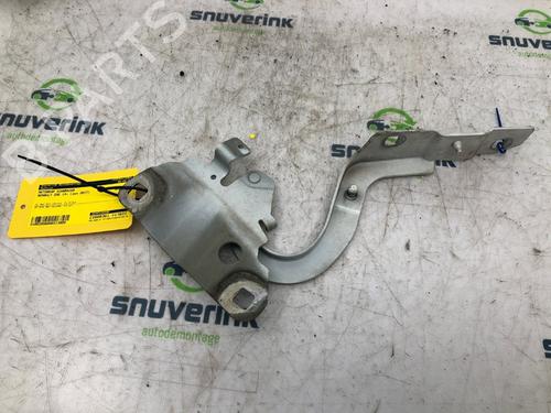 Dørhængsel/Dørbegrænser RENAULT ZOE (BFM_) ZOE (88 hp) 16764669