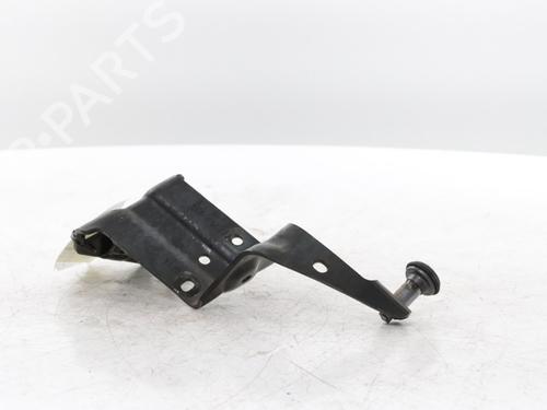 Hinge/Door check strap RENAULT MASTER III Van (FV) 2.3 dCi 165 FWD (FV0P, FV0U, FV11, FV12, FV1E) | BP31592272C146