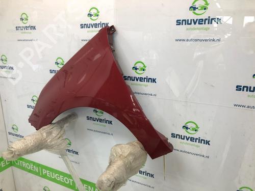 Left front fenders RENAULT SCÉNIC III (JZ0/1_) 1.4 16V (JZ0F, JZ1V) | BP18950575C41 