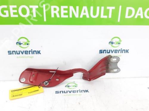 hingedoor-check-strap-renault-twingo-ii-cn0_-2007-40571539 main image