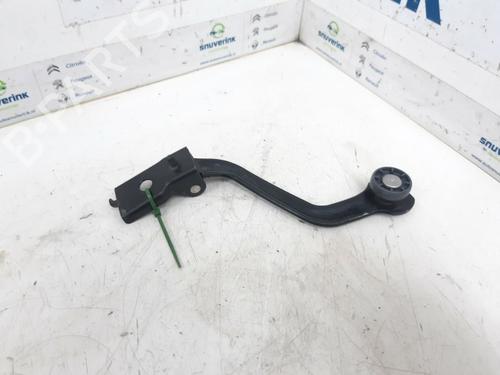 Hinge/Door check strap PEUGEOT 807 (EB_) 2.2 HDi | BP13192219C146